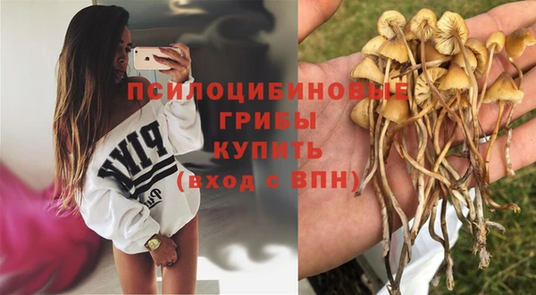 МДПВ Алзамай